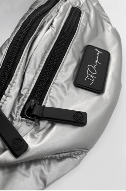 Fanny Pack Silver